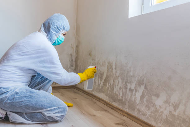 Hvac And Air Duct Mold Remediation inspection of HVAC system in Jordan